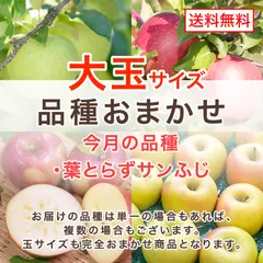 青森県産 びっくり大玉りんご 3kg 家庭用 訳あり 3キロ 産地直送 青森 りんご ワケアリ