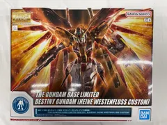 2026年最新】1/100 MG ハイネ専用 デスティニーガンダム(ガンプラEXPO