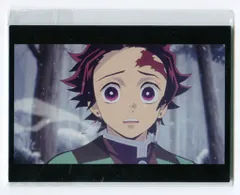 アニプレックス 劇場版「鬼滅の刃」無限列車編 MD20-0224001 場面写ポストカードセット