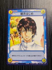 ヒカルの碁 TCG カード 朱雀飛翔 進藤ヒカル 最強の初段 - メルカリ