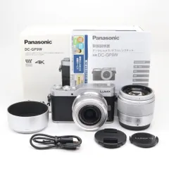 2026年最新】Panasonic ミラーレス一眼カメラ ルミックス GF9 ダブル