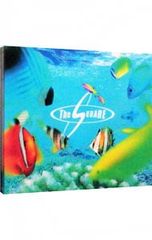 DVD／ガン×ソード VOL.13 - メルカリ
