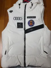 (The First )DESCENTE スキー ダウンベスト 出品