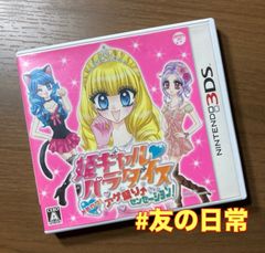 姫ギャルパラダイス メチカワ！アゲ盛り⤴︎センセーション！3DS