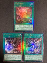 BF0321 遊戯王 エンシェントフェアリードラゴン スリーブ プロテクター