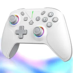 【2025革新モデル】 Switch 2 コントローラー Switch1/2代対応 ダブルホール機能 TURBO連射機能 マクロ機能 背面ボタン付き 9色RGBライト 1000mAh大容量 Bluetooth 無線接続 スイッチ コントローラ 24681463