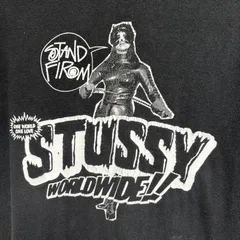 STUSSY ステューシー メンズ Tシャツ L ヴィンテージ 00s プリントT 黒 ブラック ストリート 古着