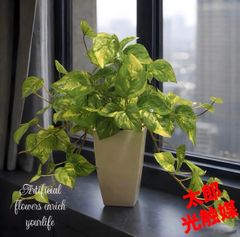 光触媒 人工観葉植物 ウォールグリーン フェイクグリーン マーブル