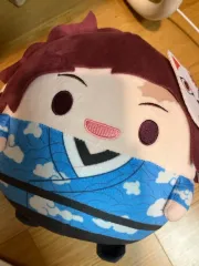 鬼滅の刃 竈門 炭治郎 選別試験 ふわコロりん M