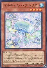 2026年最新】マルチャミー・プルリアの人気アイテム - メルカリ