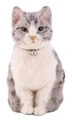 新品 ハマナカ フェルト羊毛 キット ニードルフェルト でつくる 植毛 レッスン キット サバトラ (サイズ高さ約 16㎝) 植毛ポイントを動画でサポートQRコード付 H441-646