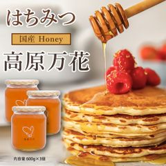 生きたHoney はちみつ ホメオパシー - メルカリ