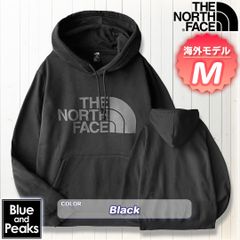 韓国限定】ノースフェイス スウェット パーカー フード ボタン 