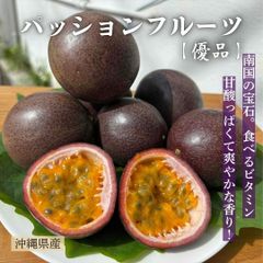 ハンギング・ジャボチカバ 苗 Plinia trunciflora 送料込み！ - メルカリ