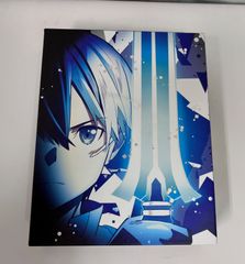 [X2-88]◇SWOAD ART ONLINE THE MOVIE ORDINAL SCALE DVD 첫회 한정판 특전 없음