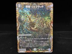 邪龍ジャブラッドbシク1枚 - メルカリ