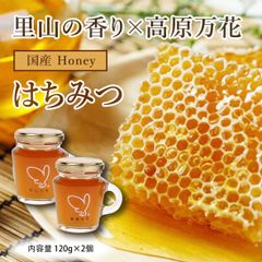 今季採れたて 蜂蜜 2kg 国産 九州産 れんげ蜂蜜 加熱 生はちみつ
