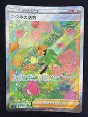 2026年最新】ナタネの活気 sarの人気アイテム - メルカリ