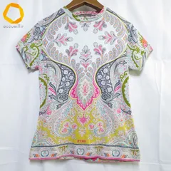 #snc エトロ ETRO カットソー 44 水色 ピンク 紺 半袖 ペイズリー柄  レディース [1000605]のサムネイル