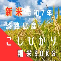 玄米【武川米】農林48号 30kg（玄米）山梨県北杜市産 お米30キロ