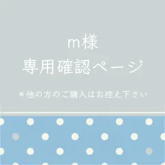 m様専用 ランチョンマット2枚セット 2セット