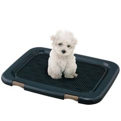 いぬらぼ 犬用トイレトレー XXLサイズ 大型犬 多頭飼い - メルカリ