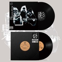 ACID gray earth ハードコア gism Acid Gray Earth LP Disorder gism - メルカリ
