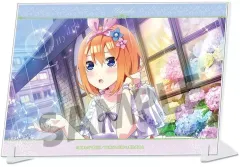【中古】アクリルスタンド・アクリルパネル 中野四葉 A6ビジュアルアクリルプレート vol.1 「五等分の花嫁*」