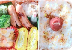 2026年最新】長瀬有花の人気アイテム - メルカリ