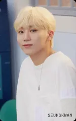 【中古】コレクションカード(男性) SEVENTEEN/SEUNGKWAN(スングァン)/CD「SECTOR 17」(一般盤)Loppi・HMV限定特典スペシャルフォトカード