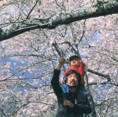 限定盤】岡林信康 見るまえに跳べ 岡林信康アルバム第二集 紙