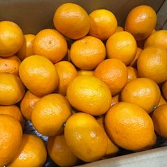 大玉ネーブルオレンジ 18キロ カリフォルニア産 お値打ち 正規品