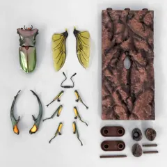 【中古】トレーディングフィギュア エラフスホソアカクワガタ(グリーン)＋樹皮台座(中) 「いきもの大図鑑アドバンス クワガタ02 樹皮台座(中)セット」 ガシャポンオンライン限定