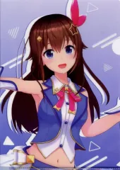 【中古】クリアファイル ときのそら A4クリアファイル 「バーチャルYouTuber ホロライブ ホロライブスターターグッズ」