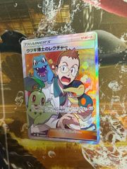 P26240 ウツギ博士のレクチャー SR - メルカリ