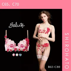 10％OFF【SHIROHATO公式】【正規品・新品】ワコール サルート 26グループ 26G P-UP ブラジャー BC プッシュアップ 谷間 Wacoal Salute BTJ426 25AWシーズン(C65、C70)