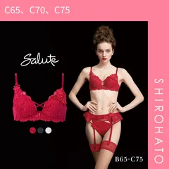 おトク【SHIROHATO公式】【正規品・新品】ワコール サルート 27グループ 27G VIVA LINE ブラジャー BC ビバライン 谷間 Wacoal Salute BTJ427 25AWブルーム(C65、C70、C75)