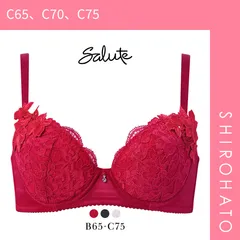 おトク【SHIROHATO公式】【正規品・新品】ワコール サルート 27グループ 27G 女優Bra ブラジャー BC デコルテ 谷間 リフトアップ Wacoal Salute BTJ727 25AWブルーム(C65、C70、C75)