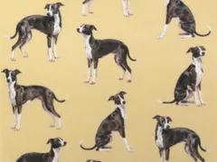 【ゆきちゃん限定】X2779-1 イタグレ シール＆ホワイト ベージュ コットン生地 1m