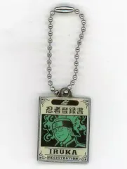 【中古】小物(キャラクター) イルカ(ガンメタリック)「NARUTO-ナルト-」忍者登録書プレート