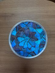 油絵 鶏 ニワトリ 絵画 F15号 西に飾ると金運アップ 風水 開運 酉 絵