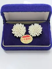 M【ヴィンテージ】イヤリング 本珊瑚 白珊瑚 サンゴ シルバーカラー アクセサリー おしゃれ