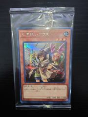 遊戯王 霊使い シク シークレットレアセット 六属性セット カードのみ