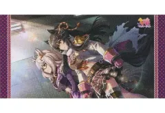 【中古】雑貨 ナリタブライアン＆ビワハヤヒデ(烈火) バスタオルVol.4 「ウマ娘 プリティーダービー」のサムネイル