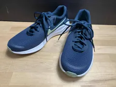 NIKE ナイキ FB2207-401 ランニングシューズ 26cm