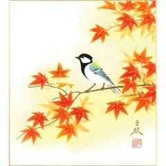 掛け軸】山本敦史『秋景 花鳥図』紅葉と小鳥 共箱付き 日本画 - メルカリ