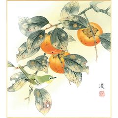 ♥日本画♥井上秀城♥掛軸♥柿の図♥共箱付き♥ 掛け軸 - メルカリ