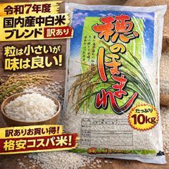 ケンミン ライスパスタ スパゲティスタイル 9kg グルテンフリー 最安値