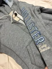 ホリスター hollster フーディー