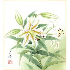 絵画】ボタニカルアート 「カサブランカ 純白の貴婦人」原画 - メルカリ